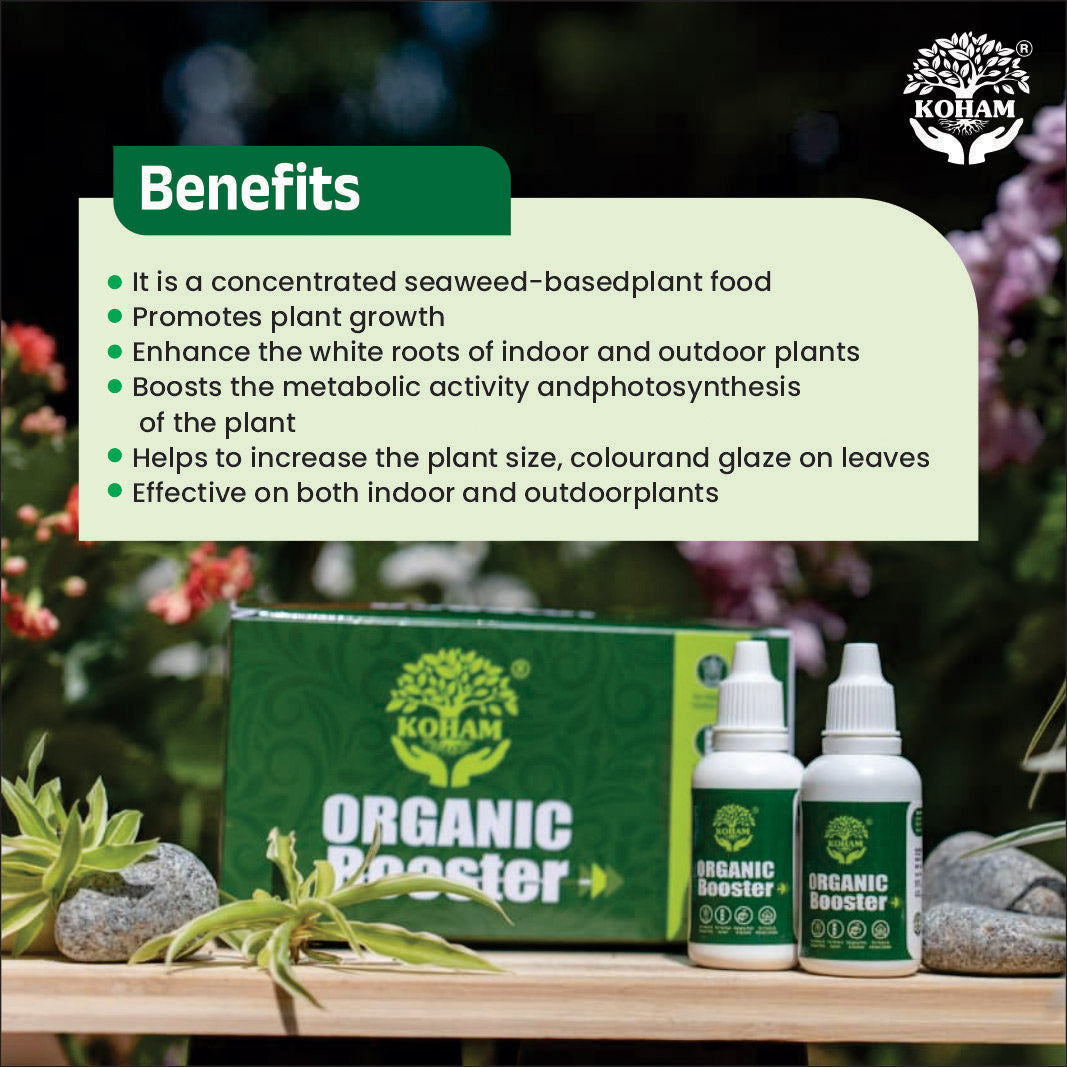 Koham Organic Booster | Concentrated Seaweed Extract | Growth | Flowering | Pack of 3 (30 ML x 3)