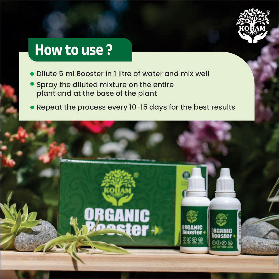 Koham Organic Booster | Concentrated Seaweed Extract | Growth | Flowering | Pack of 3 (30 ML x 3)