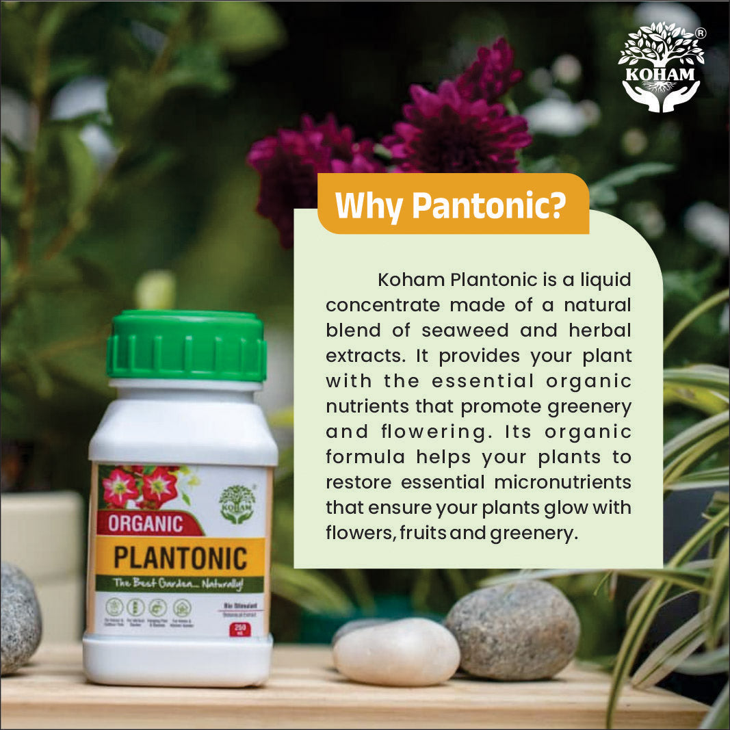 Koham Plantonic | Growth Promoter | 250 Ml