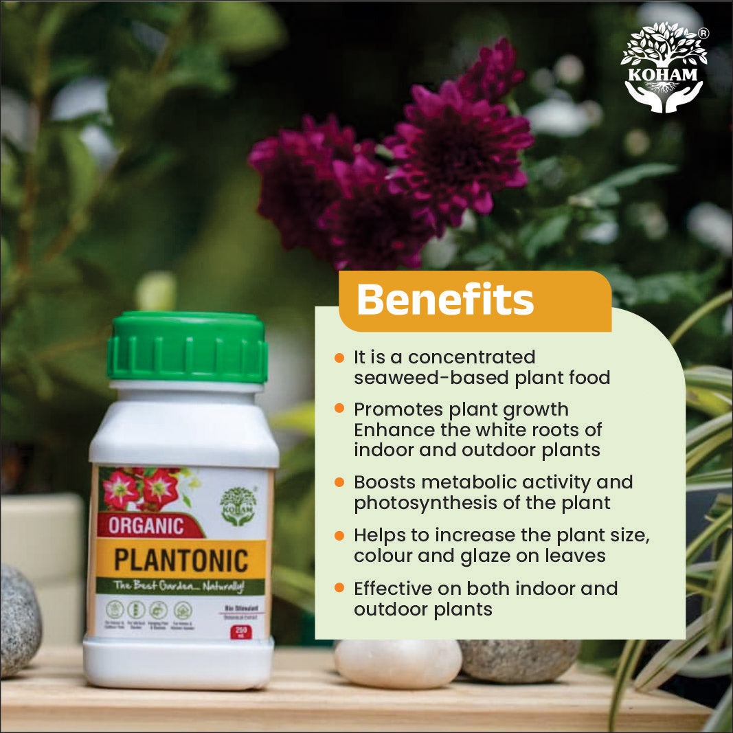 Koham Plantonic | Growth Promoter | 250 Ml