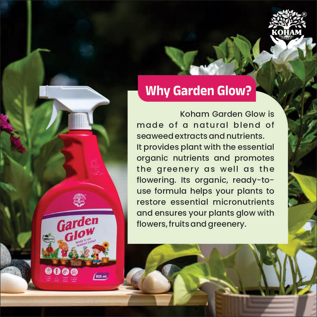 Koham Garden Glow  | Plant Growth Promoter | Ready To Use | 825 ML Liquid