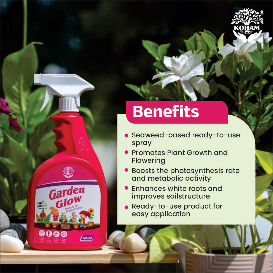 Koham Garden Glow  | Plant Growth Promoter | Ready To Use | 825 ML Liquid