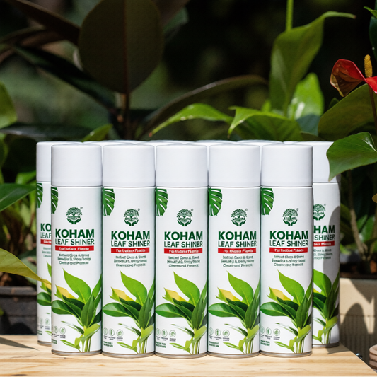 Koham Leaf Shiner | 600ml | Pack of 12 | Ready To Use