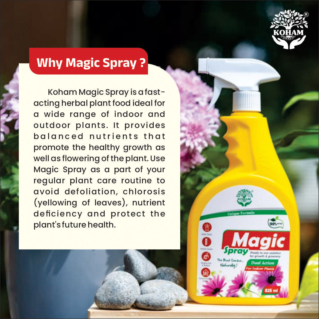 Koham Magic Spray | Plant Growth Promoter | Ready To Use | 825 ML Liquid