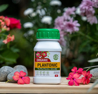 Plantonic