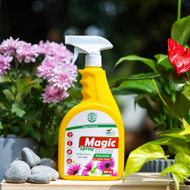 Koham Magic Spray | Plant Growth Promoter | Ready To Use | 825 ML Liquid