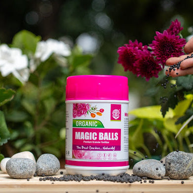 Koham Magic Balls | Granular Plant Growth Promoter | 0.5 KG
