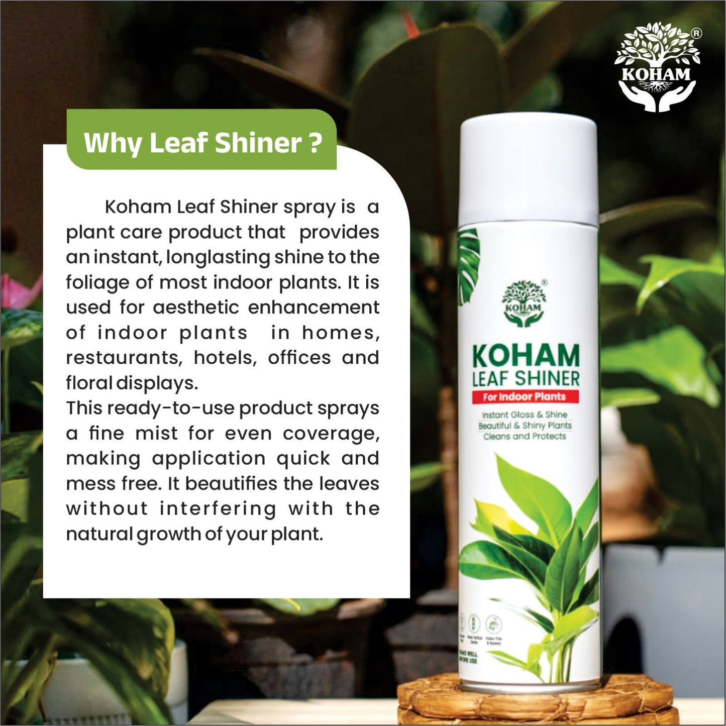 Koham Leaf Shiner | 600ml | Pack of 1 | Ready To Use