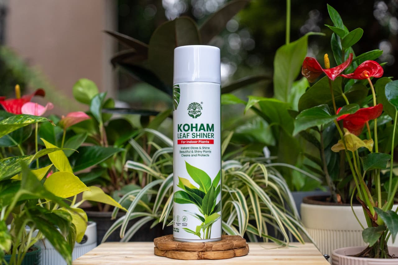Koham Leaf Shiner | 600ml | Pack of 12 | Ready To Use